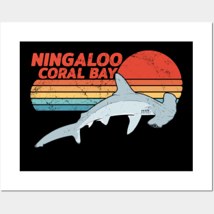 Ningaloo Coral Bay Hammerhead Shark Posters and Art